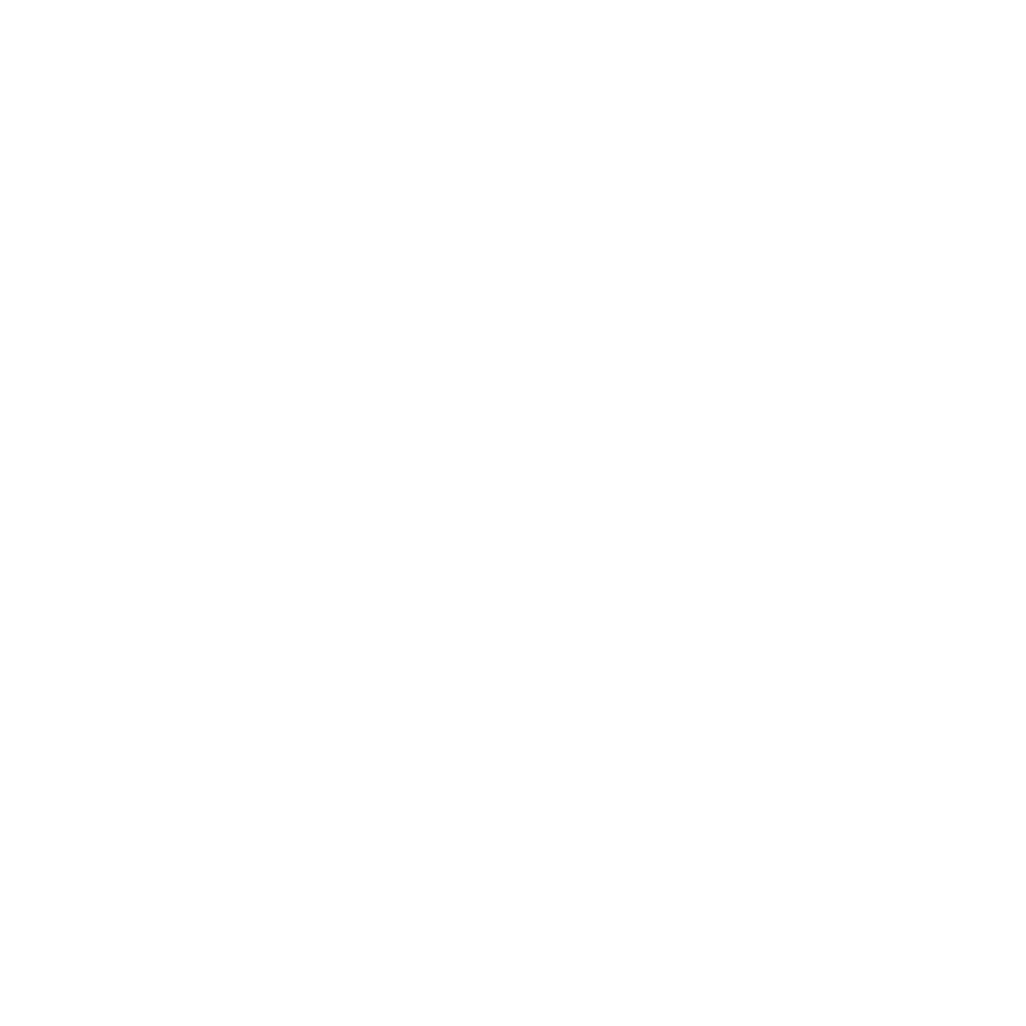 Budo